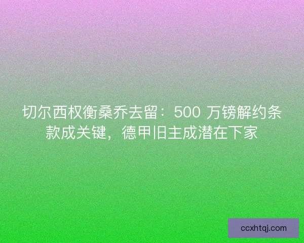 切尔西权衡桑乔去留：500 万镑解约条款成关键，德甲旧主成潜在下家