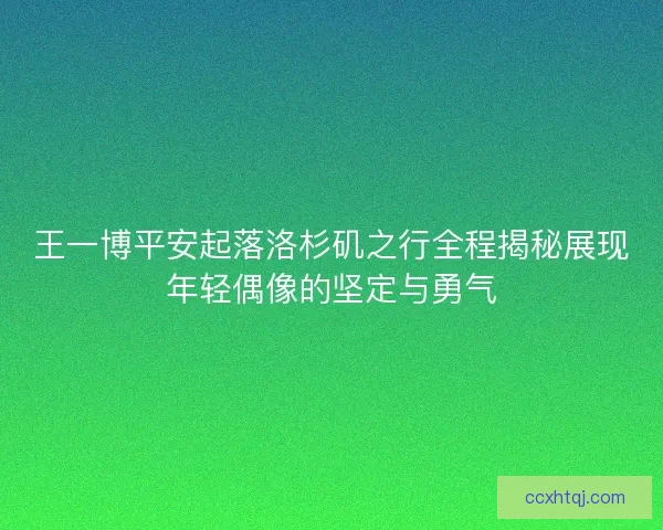 王一博平安起落洛杉矶之行全程揭秘展现年轻偶像的坚定与勇气