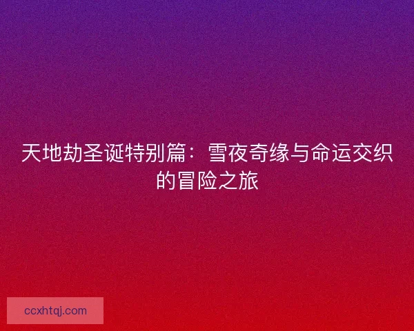 天地劫圣诞特别篇：雪夜奇缘与命运交织的冒险之旅