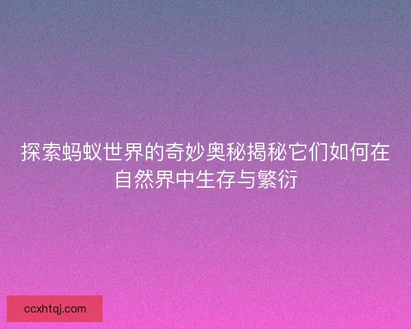 探索蚂蚁世界的奇妙奥秘揭秘它们如何在自然界中生存与繁衍